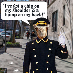 Rude Mutant Camel Doorman Photo art by Michelle.
